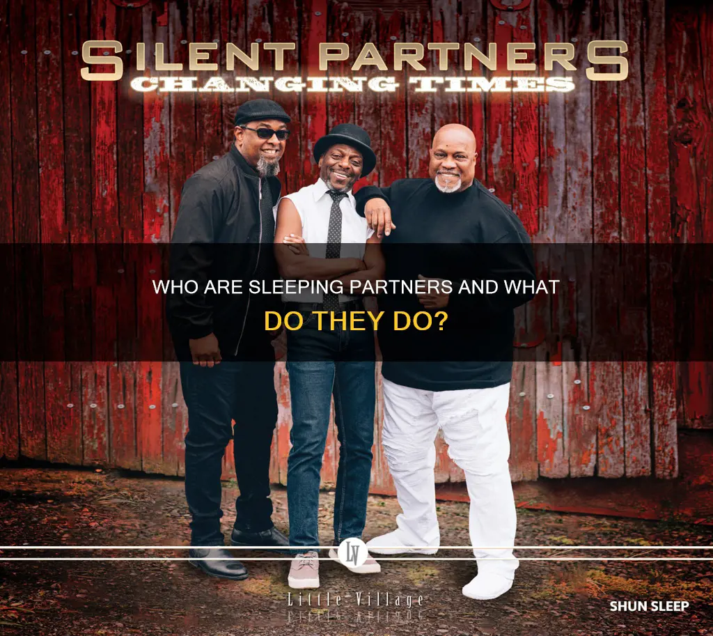 what does sleeping partner mean in business