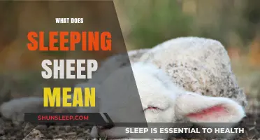 Sheep Sleep: What Does It Mean?