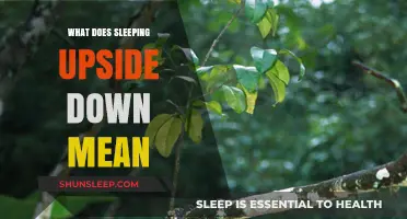 The Mystery of Upside-Down Sleep: What Does It Mean?