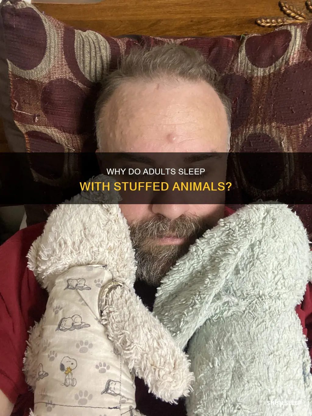what does sleeping with a stuffed animal mean