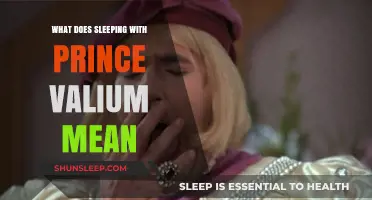 Dreaming of Prince Valium: Exploring Sleep's Meaning