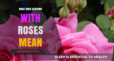 Dreaming of Roses: What Does It Mean?