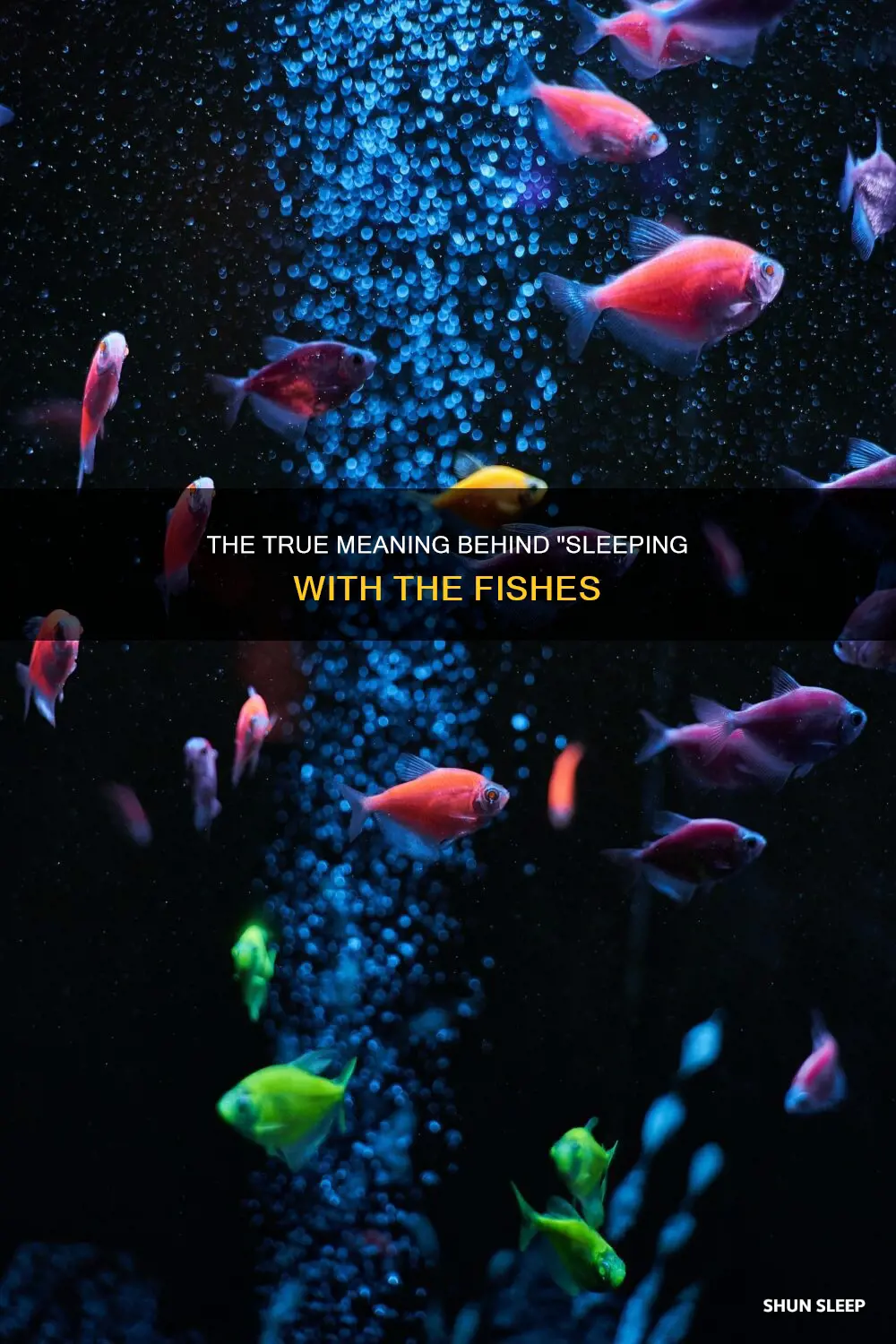 what does sleeping with the fishes mean