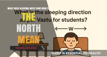 Sleeping North: What Does It Mean?