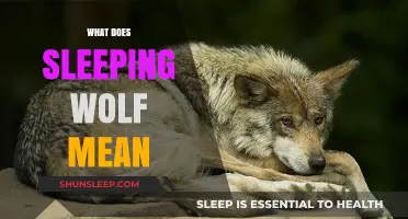 The Sleeping Wolf: A Symbol of Peace and Rest