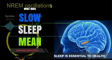 Sleep Slowdown: Understanding the Meaning of Slow Sleep