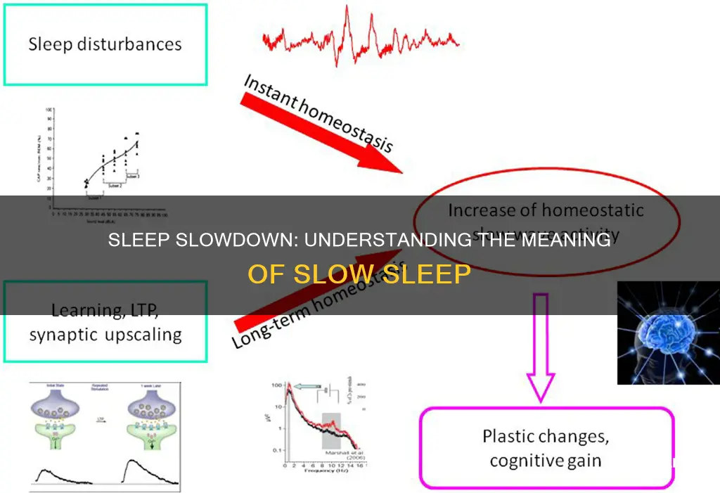 what does slow sleep mean