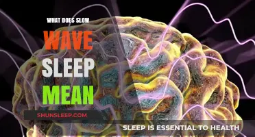 Understanding Slow Wave Sleep: The Science Behind Deep Sleep