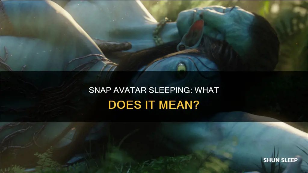 what does snap avatar sleeping mean
