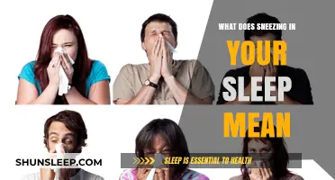 Why Do We Sneeze in Our Sleep?