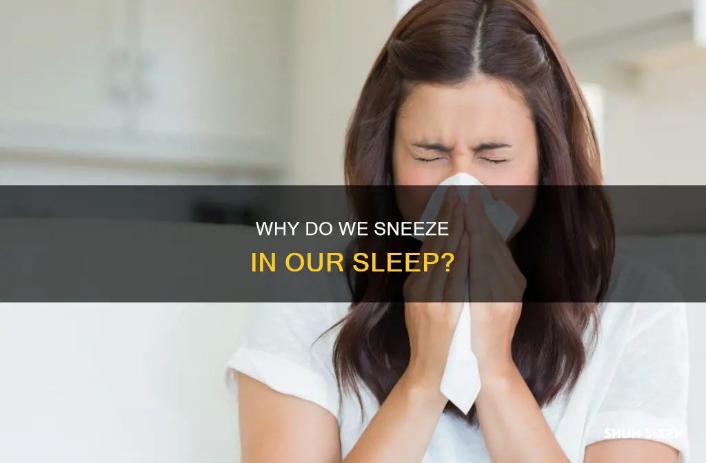 what does sneezing in your sleep mean