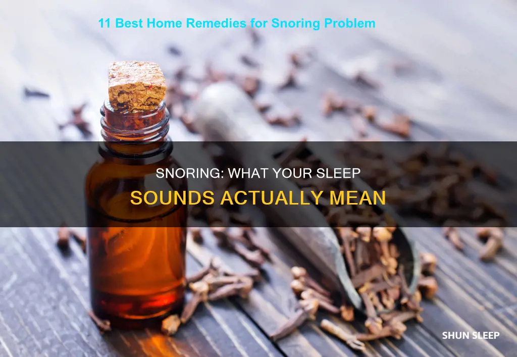what does snoring in your sleep mean