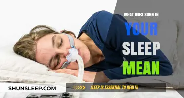 Understanding Sorn: Sleep's Mysterious State