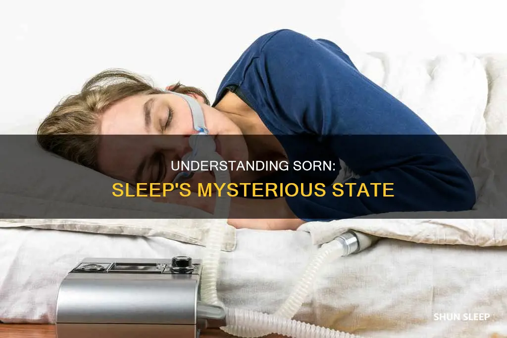 what does sorn in your sleep mean