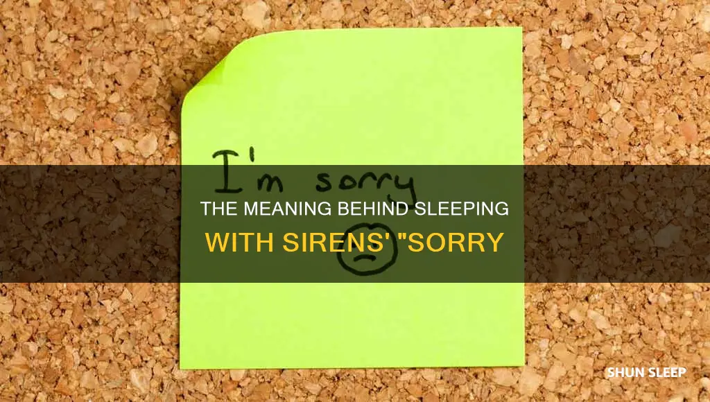 what does sorry by sleeping with sirens mean