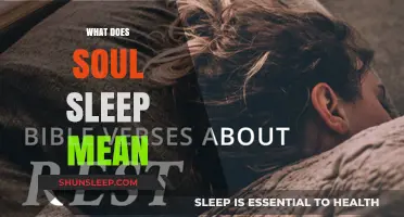 Soul Sleep: What Does It Mean to Rest in Peace?