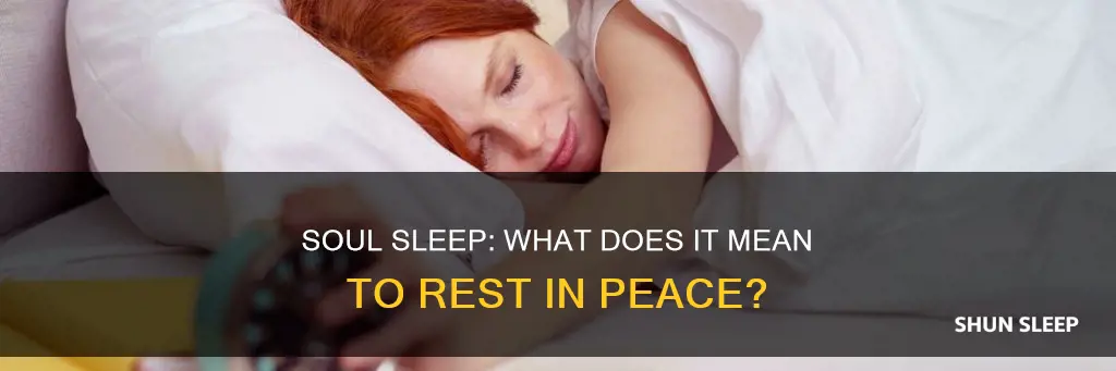 what does soul sleep mean