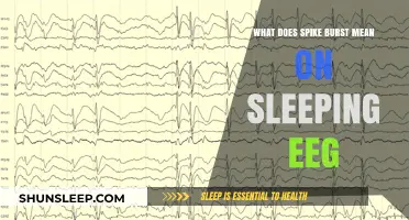 Understanding Spike and Wave Bursts in Sleep EEGs