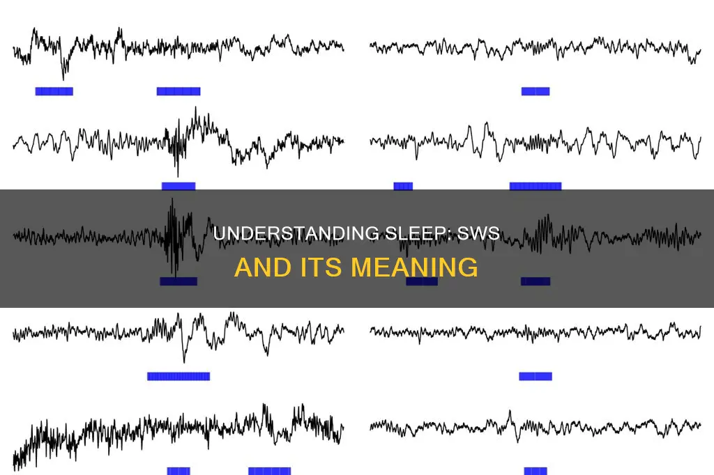 what does sws mean for sleep