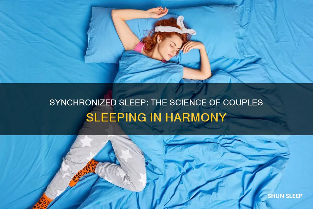 what does synchronized sleep mean