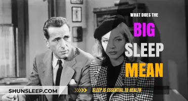 Exploring the Intriguing Meaning Behind "The Big Sleep