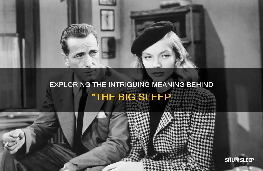 what does the big sleep mean