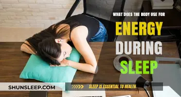 How Does Your Body Fuel Itself While You Sleep?