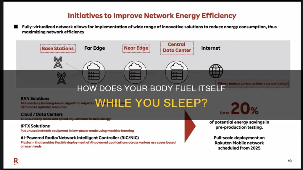 what does the body use for energy during sleep