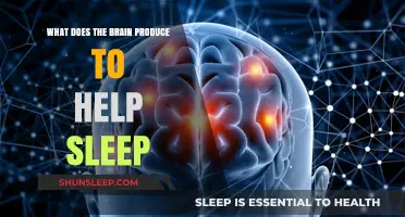 Brain's Sleep Secrets: Unlocking the Chemicals for Restful Nights