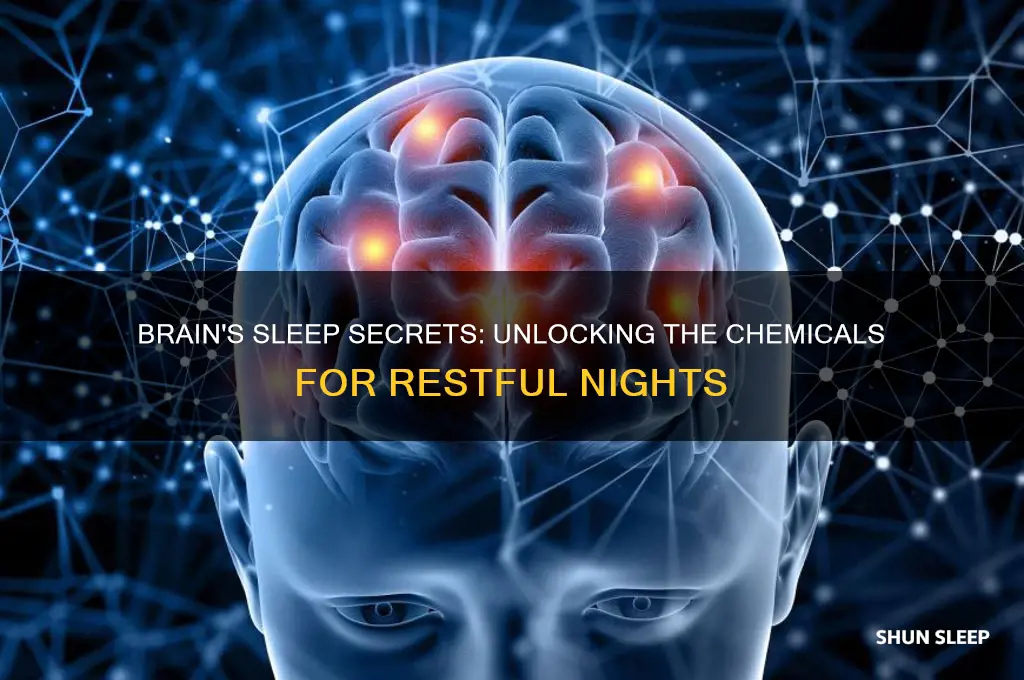 what does the brain produce to help sleep