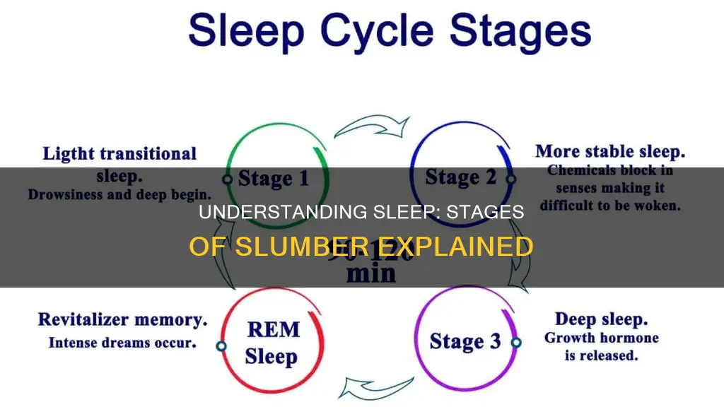 what does the different stages of sleep mean