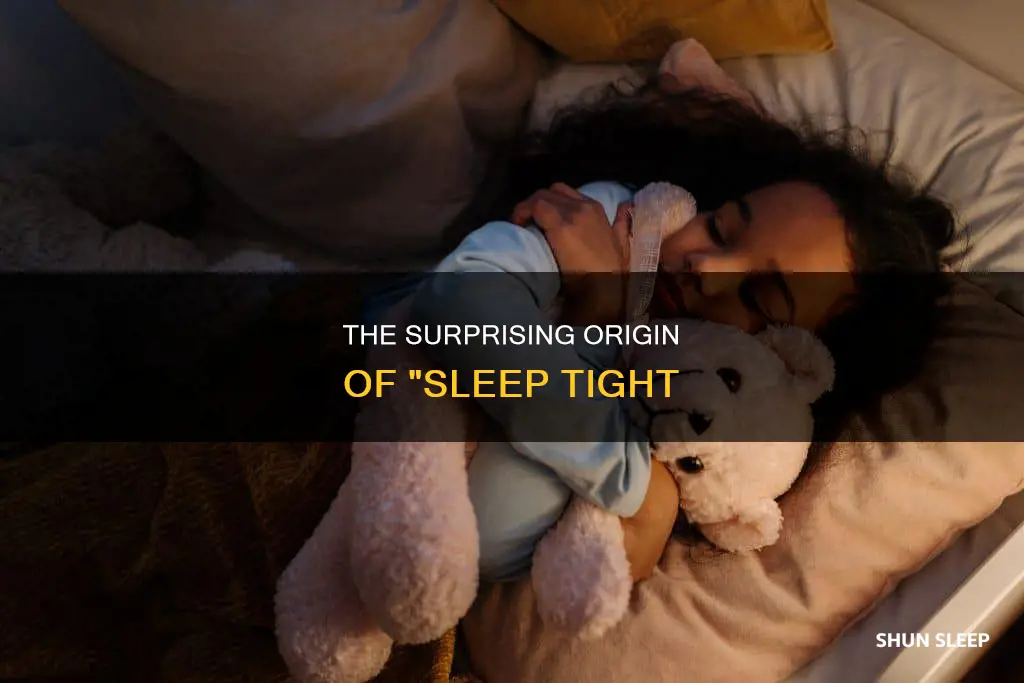 what does the expression sleep tight mean