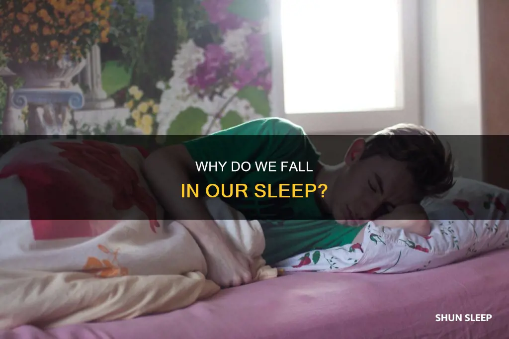 what does the feeling of falling in your sleep mean