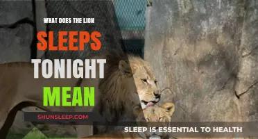 The Lion Sleeps Tonight: A Misunderstood Lullaby