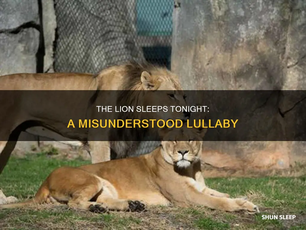 what does the lion sleeps tonight mean