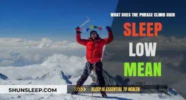 High-Altitude Adventures: Climb High, Sleep Low
