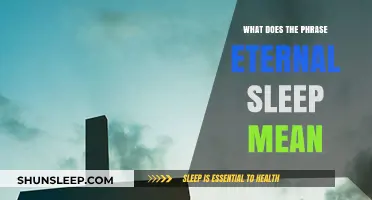Eternal Sleep: The Mystery of Death Explained