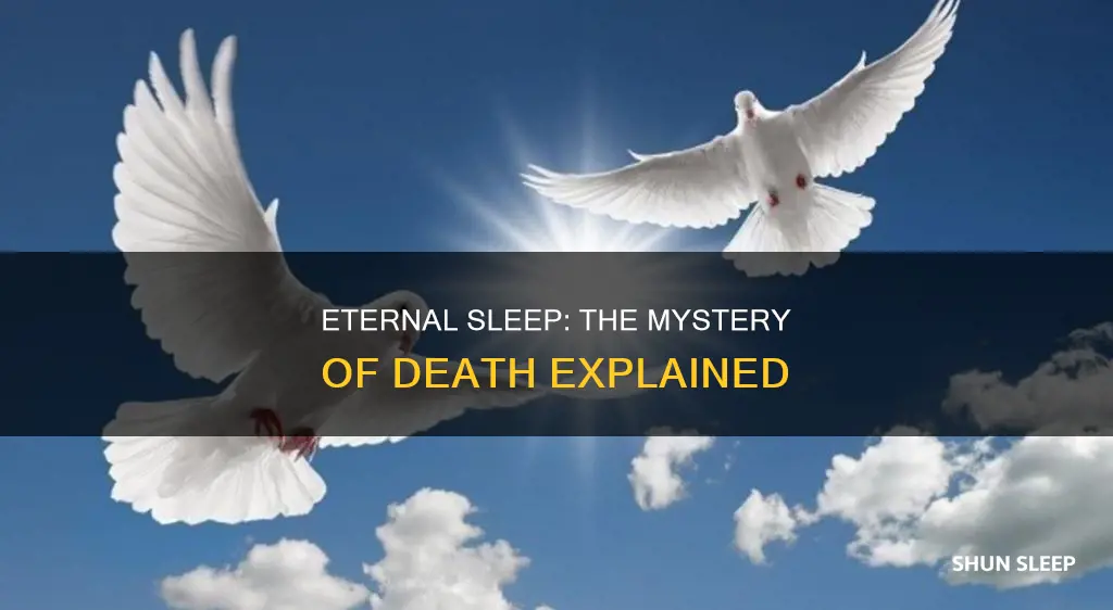 what does the phrase eternal sleep mean