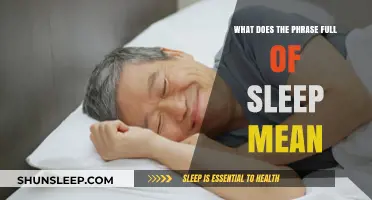 Exploring the Intriguing Phrase "Full of Sleep