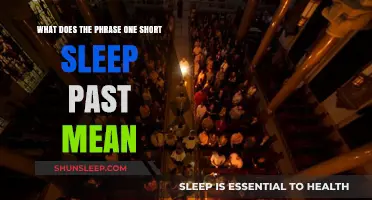 Exploring the Intriguing Phrase "One Short Sleep Past