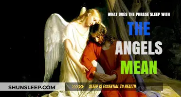The Meaning of "Sleep with the Angels