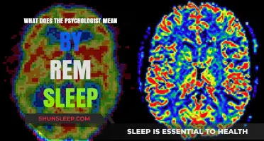 REM Sleep: Psychologists' Insights and Interpretations
