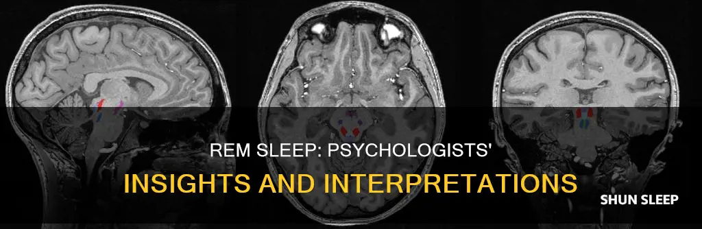 what does the psychologist mean by rem sleep