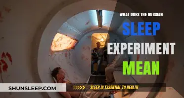 The Russian Sleep Experiment: Unraveling the Mystery