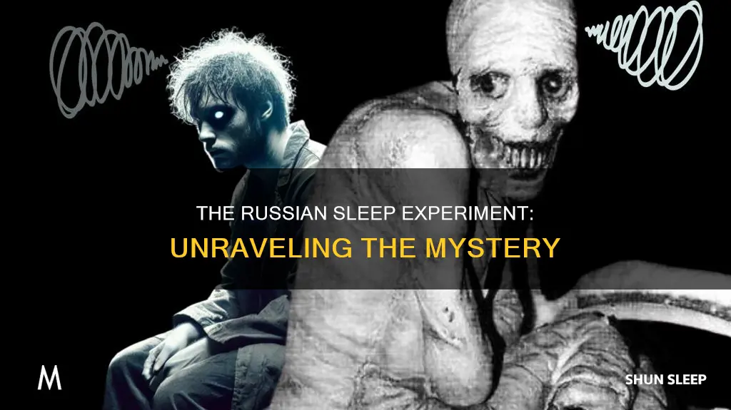 what does the russian sleep experiment mean