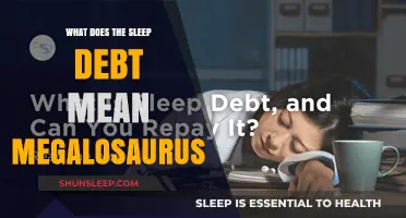 Sleep Debt: Megalosaurus' Guide to Sleep