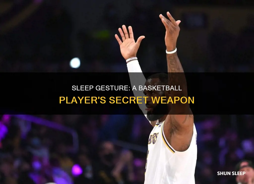 what does the sleep gesture mean in basketball
