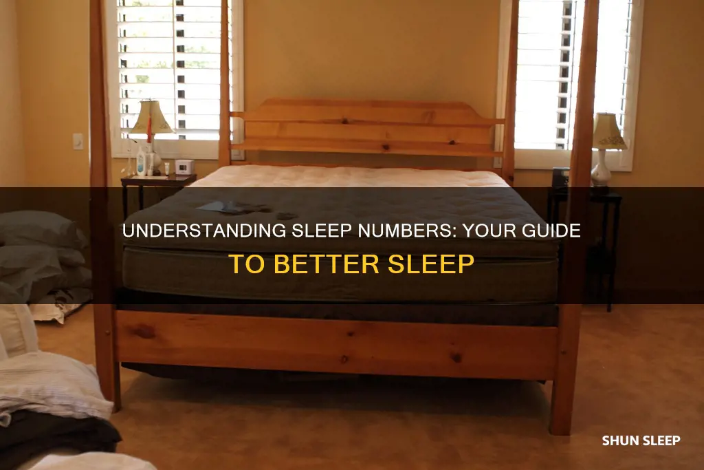 what does the sleep number mean