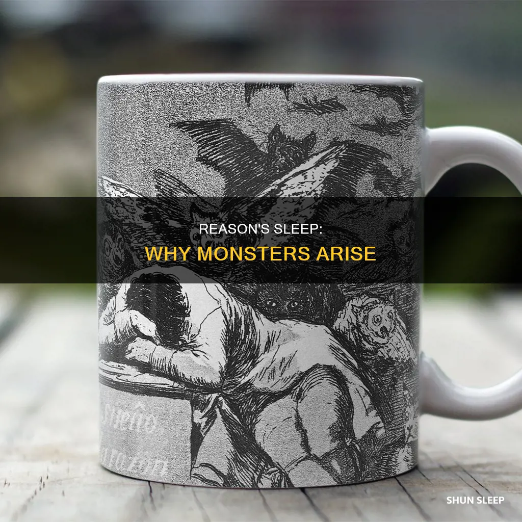 what does the sleep of reason produces monsters mean