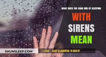 The True Meaning Behind Iris by Sleeping with Sirens